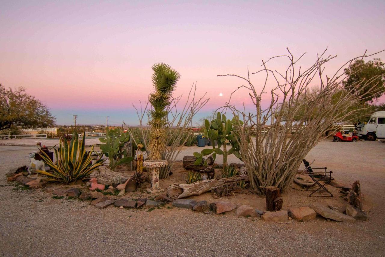 Joshua Tree Ranch House Motel Kültér fotó